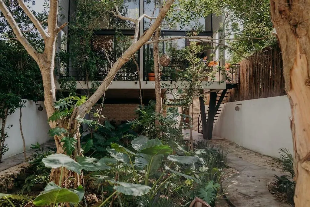 Lujoso Penthouse Remodelado De Tres Pisos En Madara Tulum公寓 墨西哥