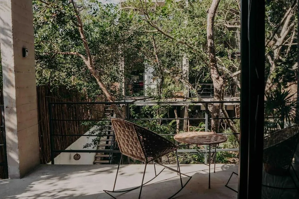 公寓 Lujoso Penthouse Remodelado De Tres Pisos En Madara Tulum公寓